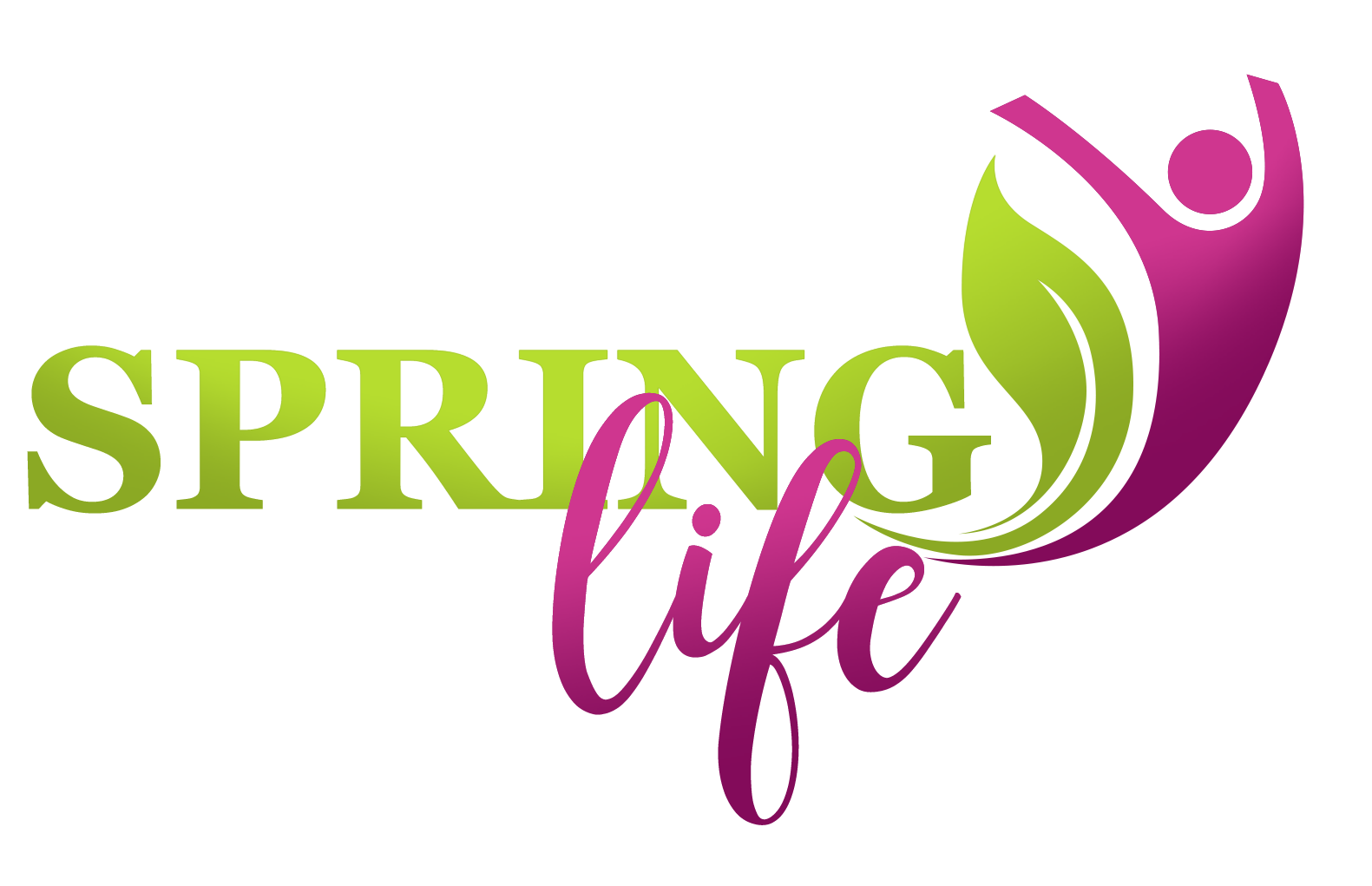 SpringLife_Academy_Timisoara