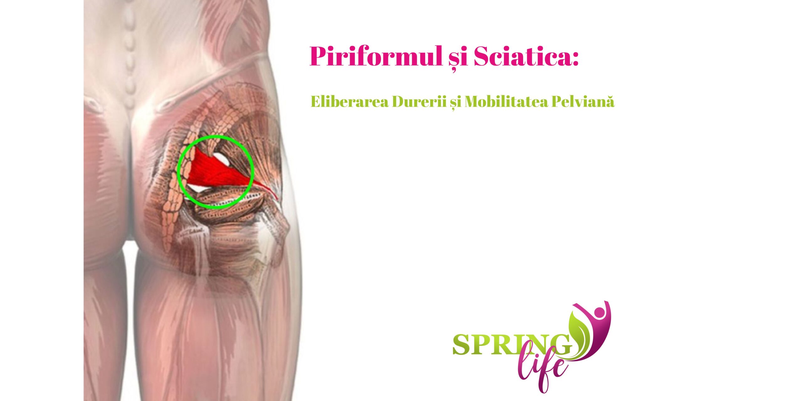 Piriformul și Sciatica:Cum să Eliberezi Durerea și Tensiunea