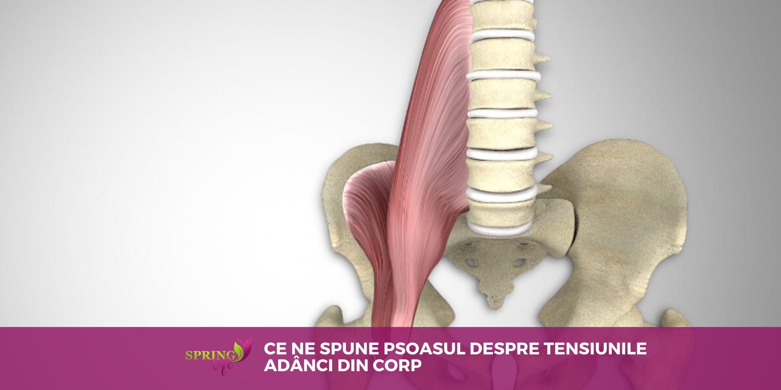 Ce ne spune psoasul despre tensiunile adânci din corp